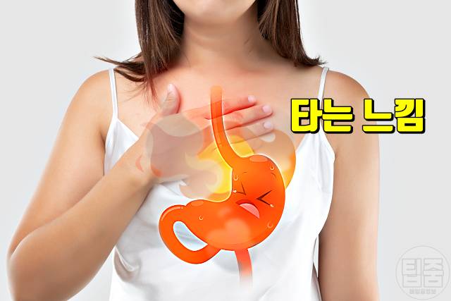 가슴통증 원인 증상 의심되는병 역류성식도염