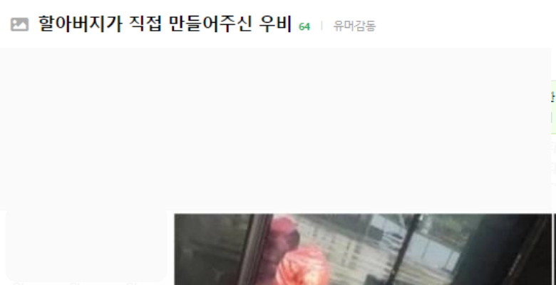  오늘자 할아버지의 수제 우비