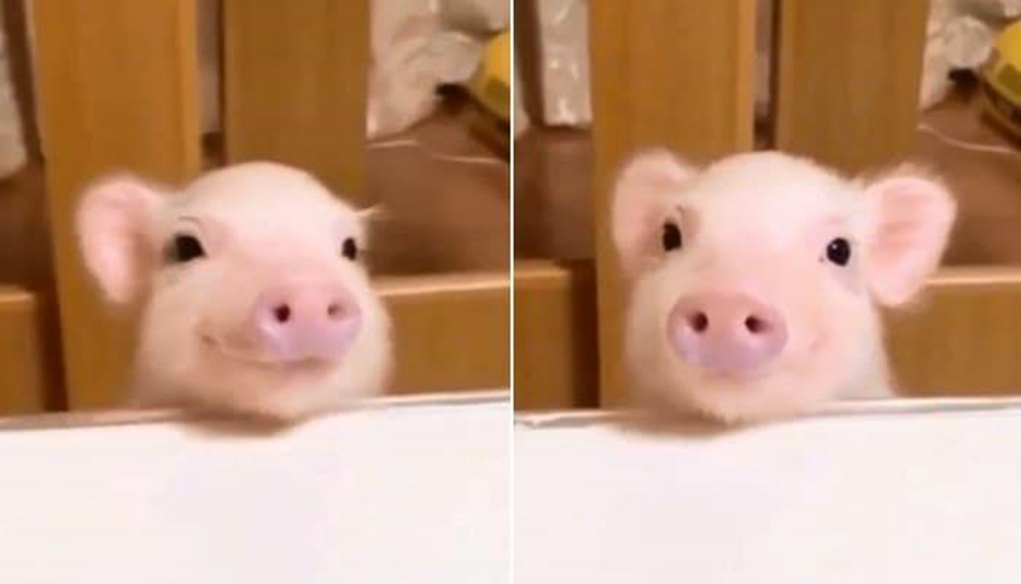 어감 때문에 선입견 있지만 생각보다 매력 터지는 여자 얼굴상 | 인스티즈