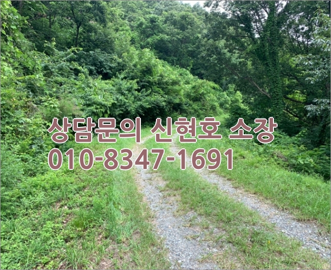 경북 영천 임야 매매 [2021타경4956] 경북 영천시