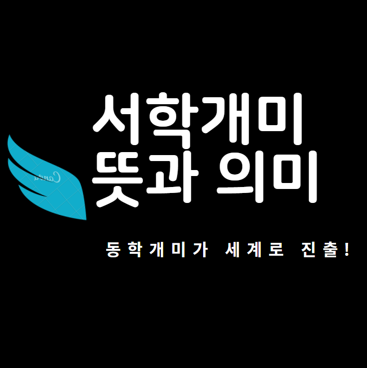  서학개미의 뜻과 의미에 대해 알아보자! (with 대외순자산)