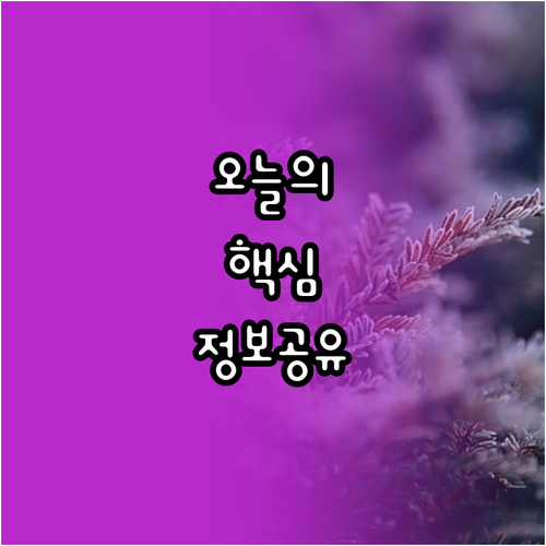 명동 인사동 종로 호텔 4곳 특징과 