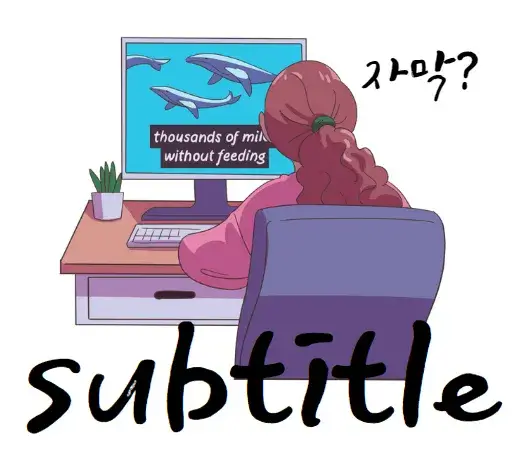 subtitle-뜻-의미-사용법-자막