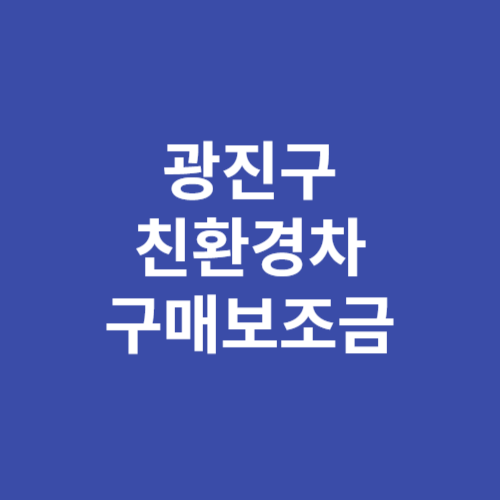 2024 광진구 친환경차 전기차 구매보조금