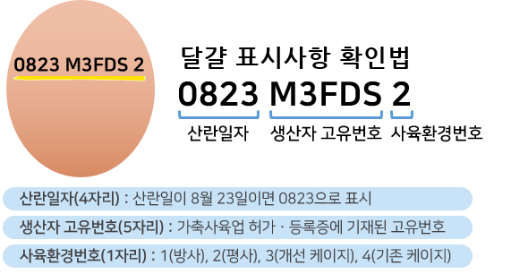 케이지유통 이미지