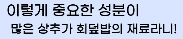  이렇게 중요한 성분이 많은 상추가 회덮밥의 재료라니!