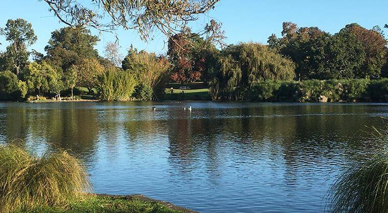 western-springs-lakeside-lake-ducks 사진출처 aucklandcouncil.govt.nz