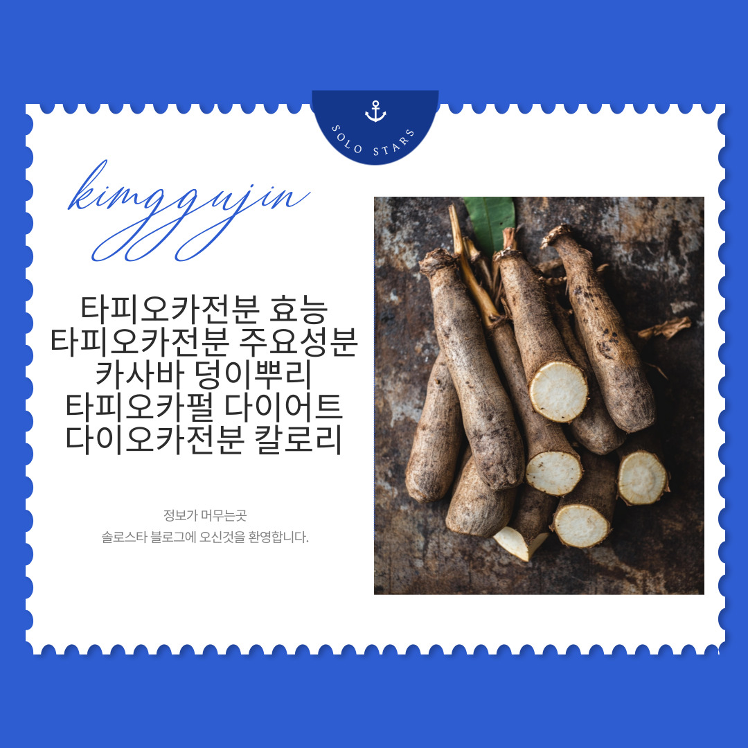 카사바 사진
