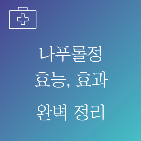 나푸롤정