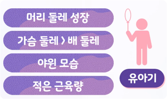 신체 비율의 변화