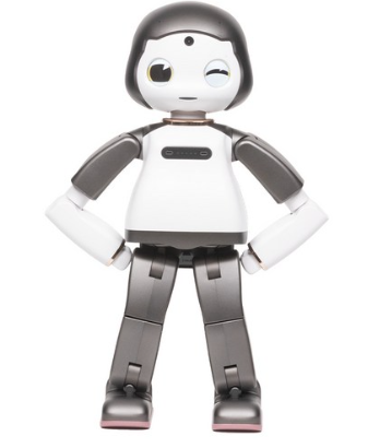인공지능 로봇 리쿠 (출처-리쿠홈페이지)