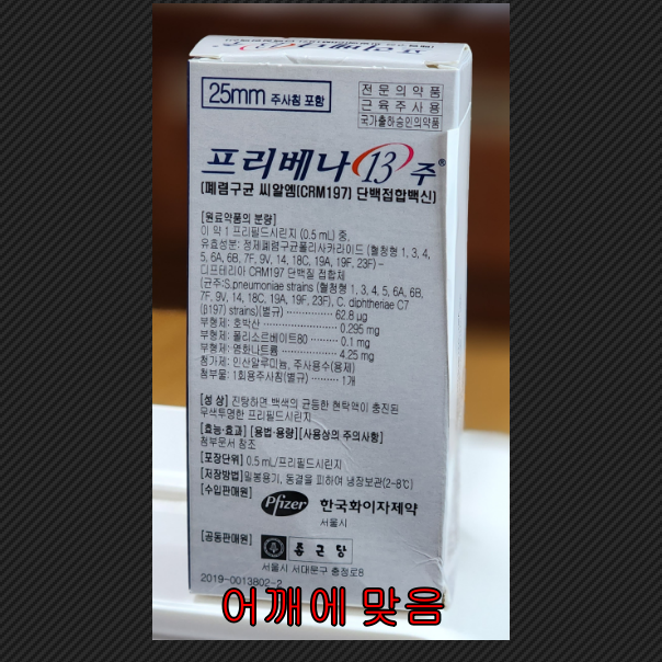  폐렴 예방 접종 대상 시기 종류 가격 순서ㅣ65세이상 무료