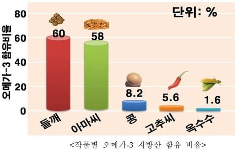 식물성 오메가-3 지방산 함유 비율