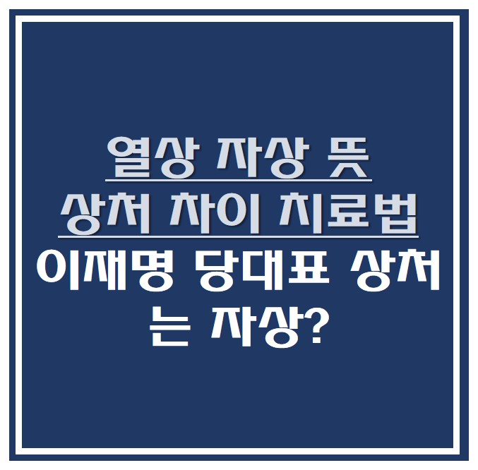  열상 자상 뜻 상처 차이 치료법 , 이재명 당대표 상처는 자상?