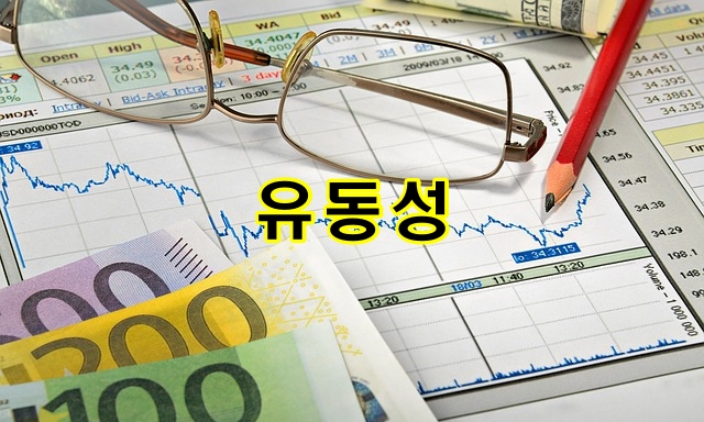 유동성의 중요성과 종류