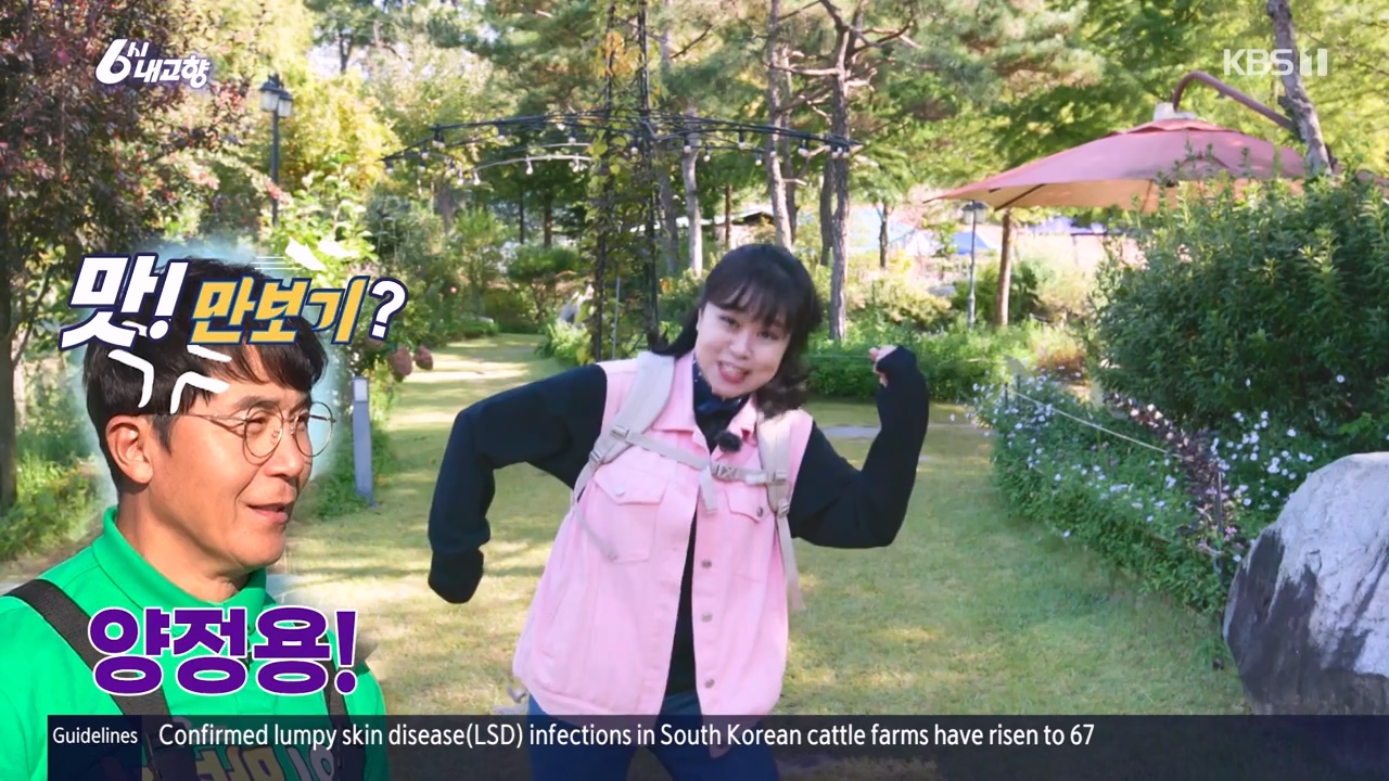 6시 내고향.E7910.231032p-NEXT.mp4_20231101_202215.176.jpg