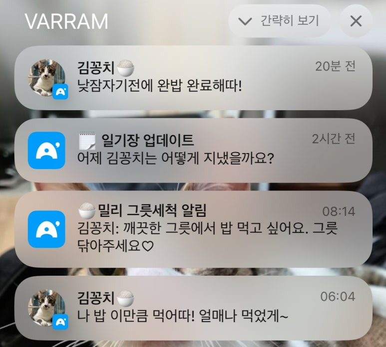 디자인밀리 이미지