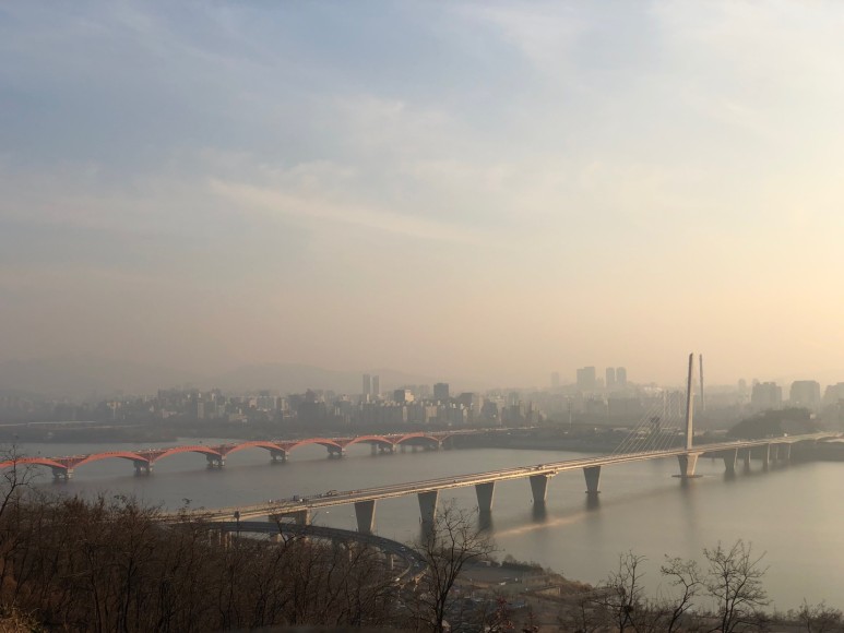 하늘공원 폐쇄 주말 하늘공원 나들이 7