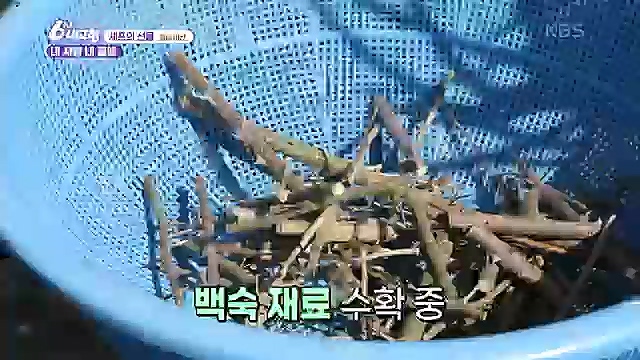 [7743회] 6시 내고향 - KBS산으로 간 굴비 - 충북 옥천 [60초를 잡아라] 부산부전시장 (부산광역시) [셰프의 선물] 내 사랑 내 곁에 (충남 아산) [섬섬옥수] 최고의 선물, 금오도 (전남 여수).ts_20230313_192436.416.jpg
