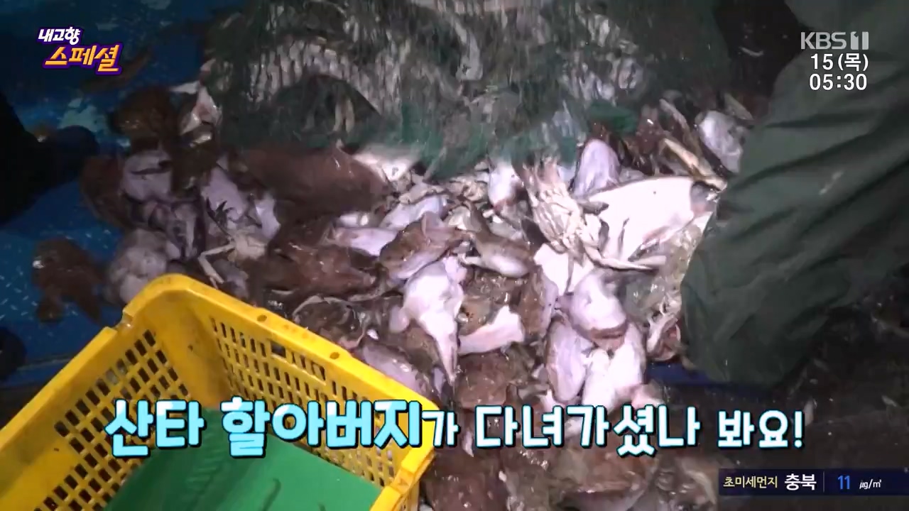 내고향 스페셜.E2309.230616p-NEXT.mp4_20230924_143302.754.jpg
