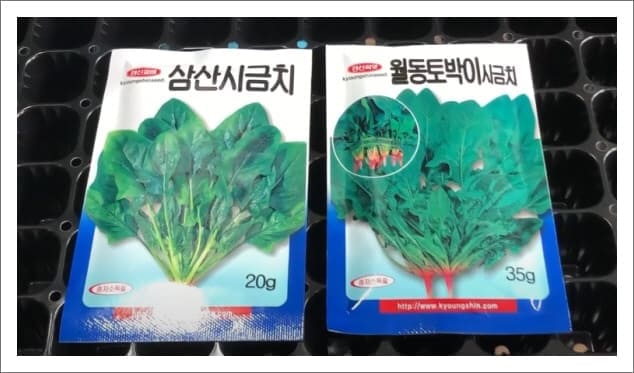 시금치 씨앗 종류