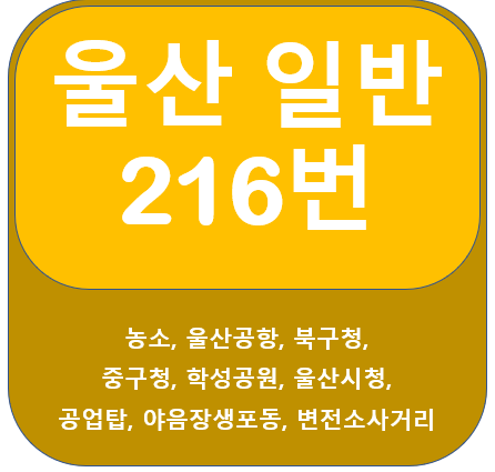  울산 216번 버스 노선정보(울산공항, 중구청,변전소)