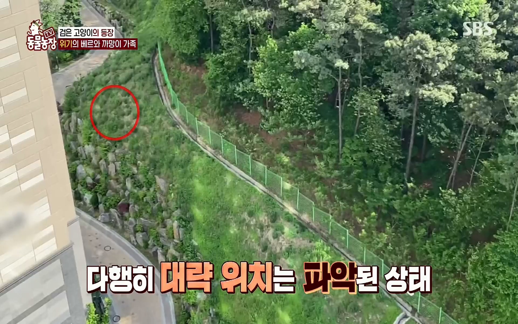 TV 동물농장.E1073.220612p.H264-F1RST.mp4_20220612_181351.404.jpg