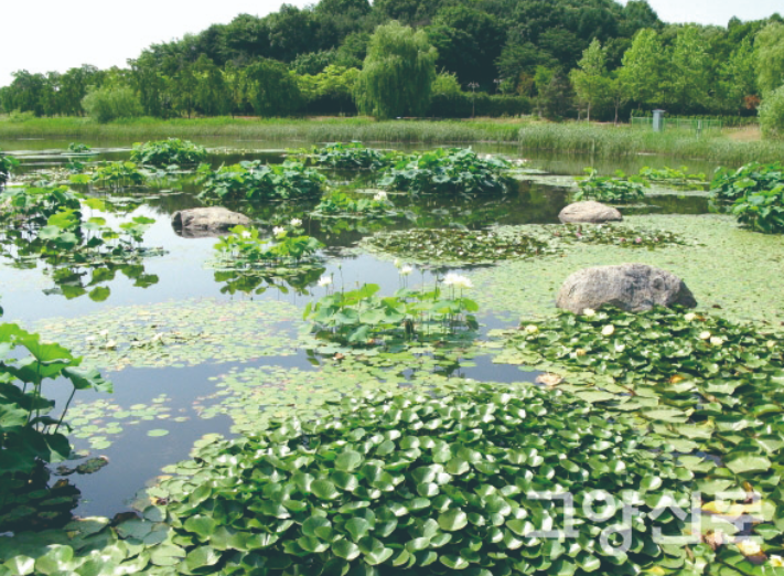 일산호수공원 전경