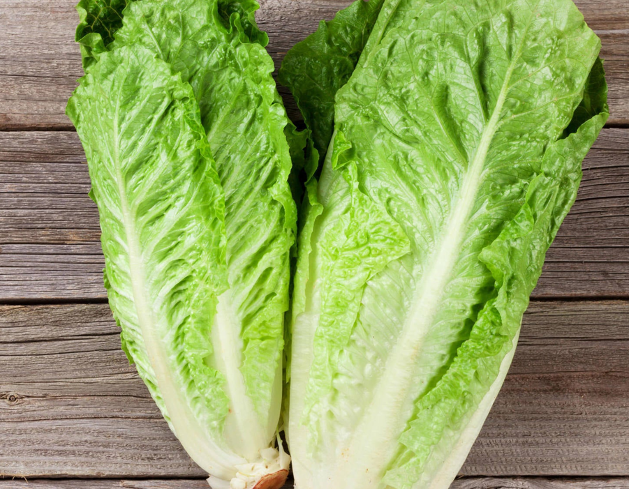 Lettuce benefits and side effects