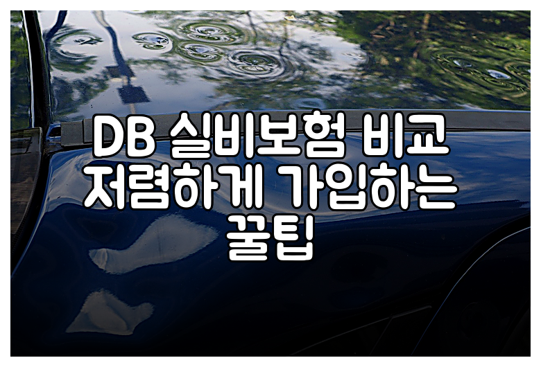 DB 실비보험 비교 저렴하게 가입하는 꿀팁
