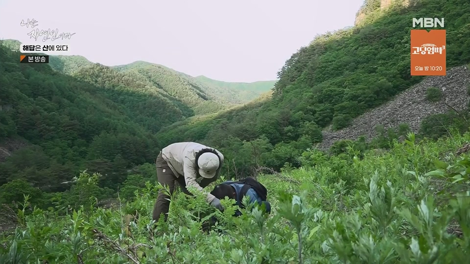 나는 자연인이다.E559.230621p.H264-F1RST.mp4_20230622_204023.660.jpg