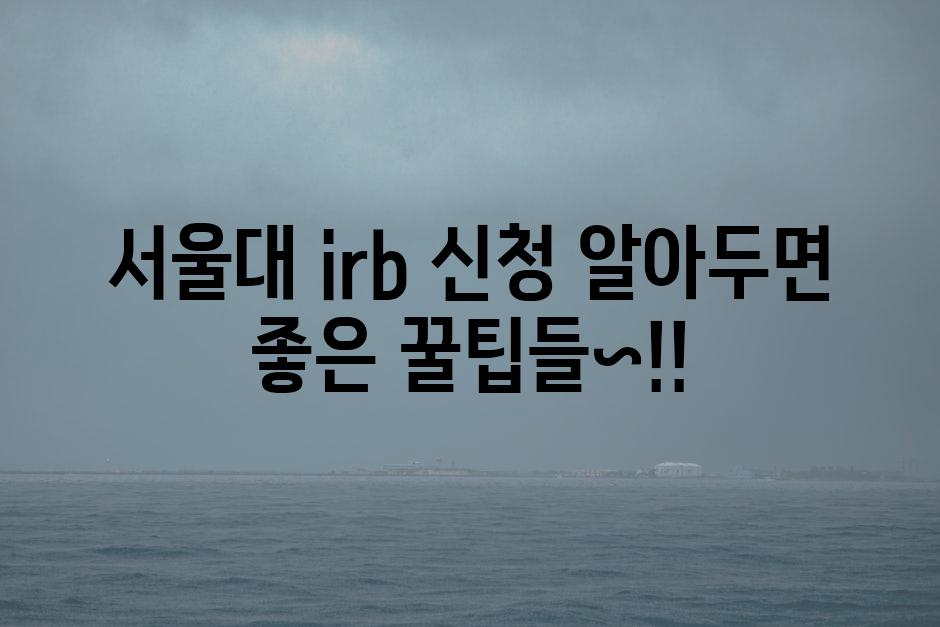 IRB 1