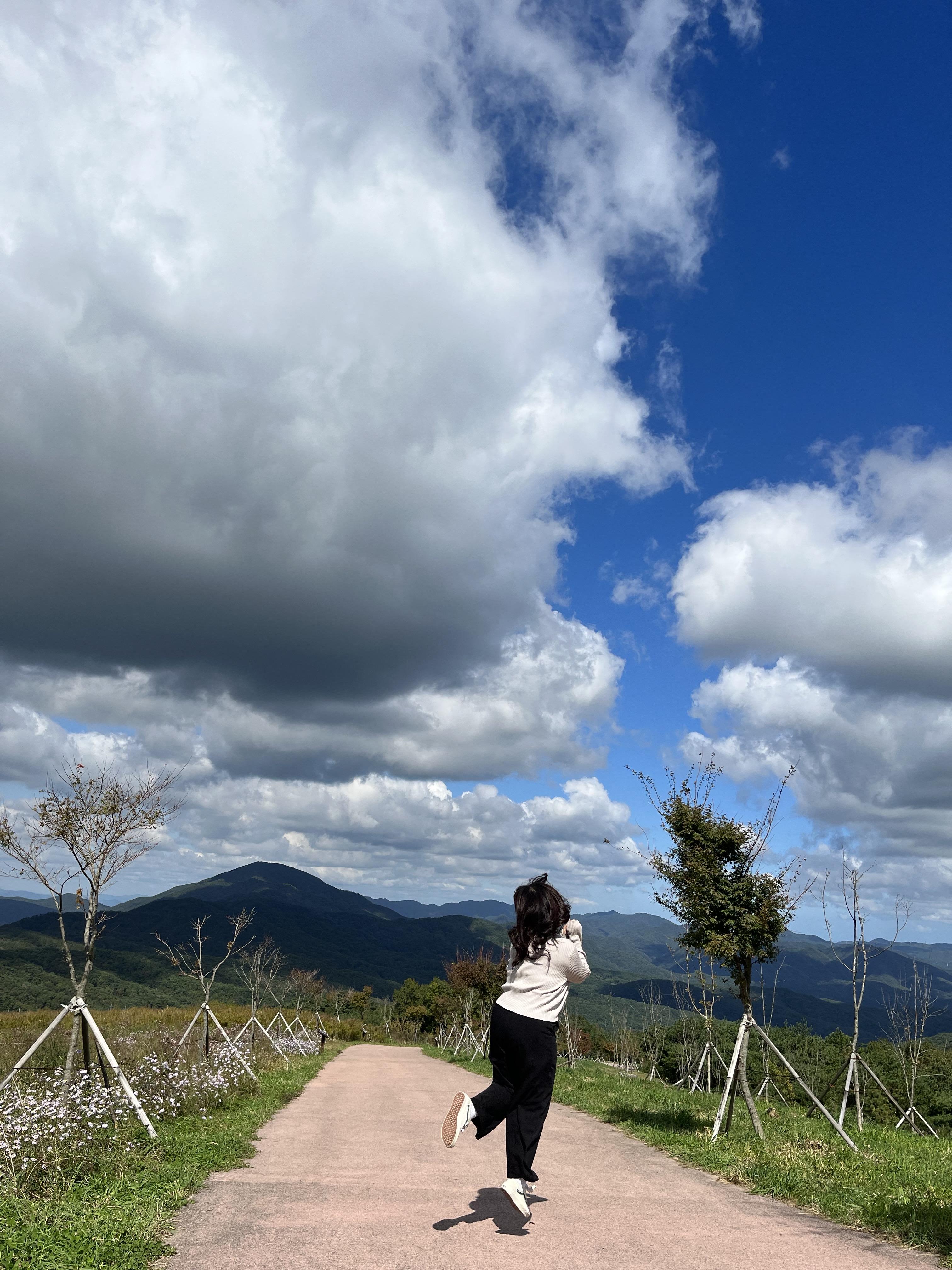 경주 풍력발전소 바람의 언덕 전경사진