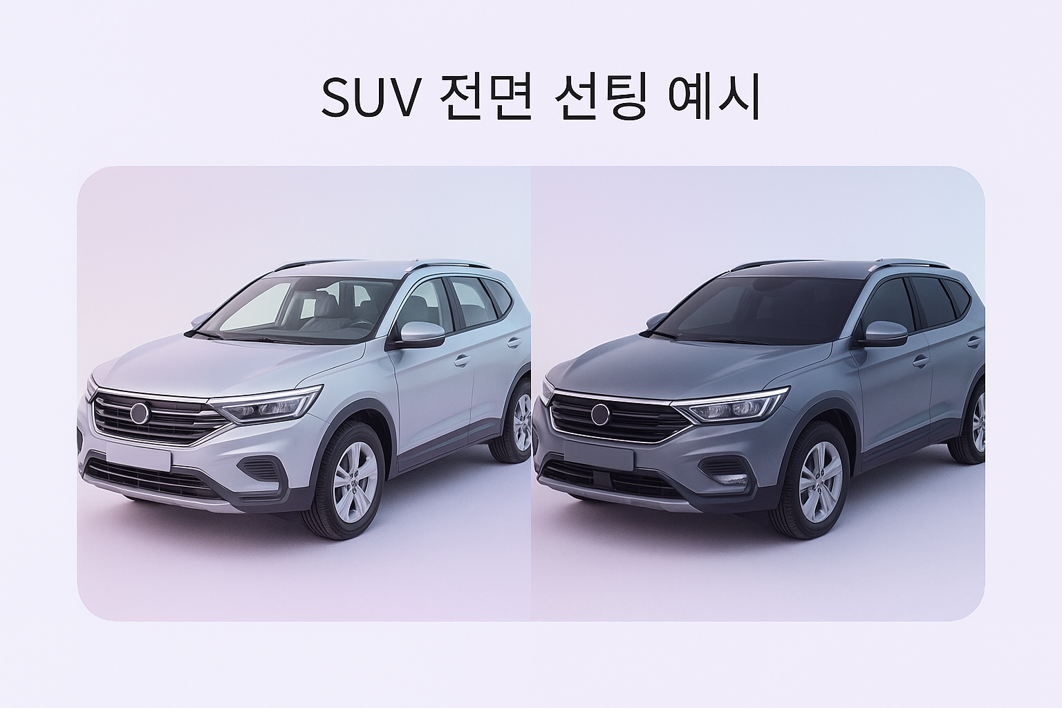선팅 농도 비교 이미지