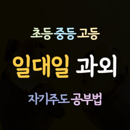  강서동 고등 수학과외 청주 흥골지구 영어과외 초등 중등 국어과외 중학생 일대일 내신 전문 수능 대비