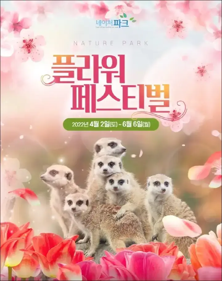  2022년 5월 대구 축제 총 정리 - 대구에서 열리는 축제의 기간, 시간, 장소, 요금은?