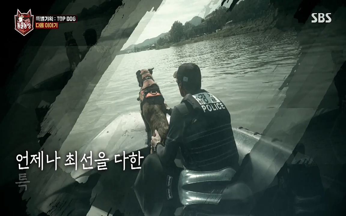 TV 동물농장.E1085.220905p-NEXT.mp4_20220904_173608.868.jpg