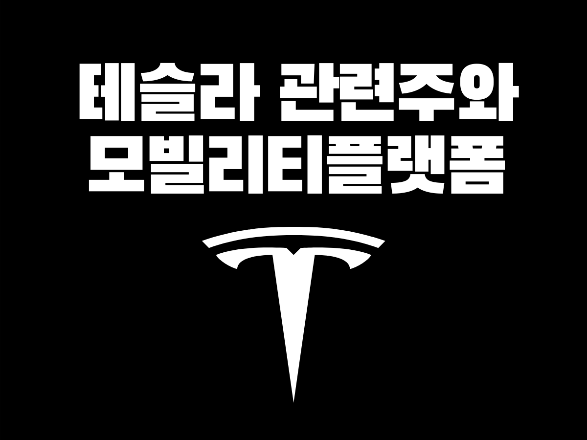  (3) 테슬라 관련주 (모빌리티플랫폼)