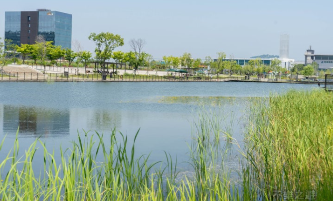 서울 식물원 실외 산책로와 호수