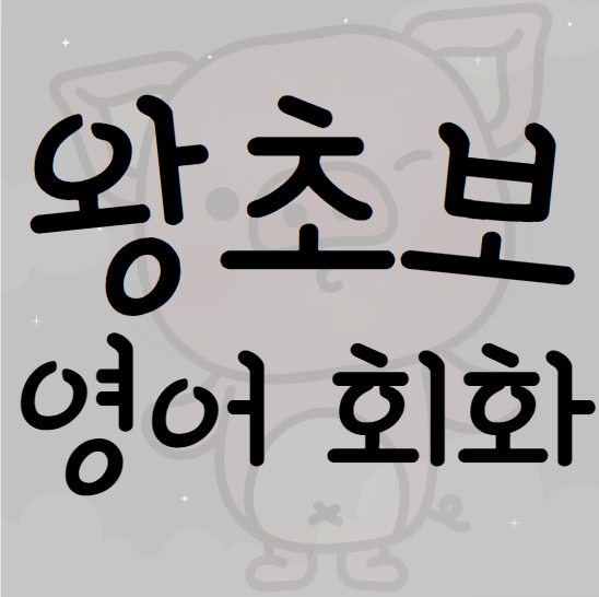  분당 일대일 왕초보 영어회화 성인 주부 직장인 토익 토플 자기개발 토익 토플 인증시험 영어과외