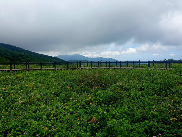 곰배령 정상