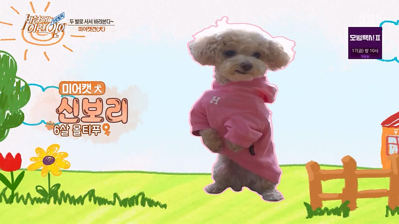 순간포착 세상에 이런일이.E1216.230208p-NEXT.mp4_20230208_193157.463.jpg