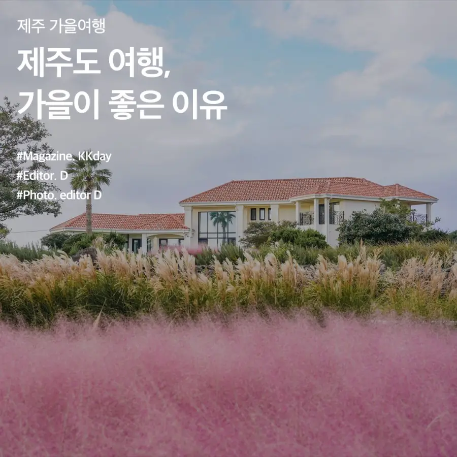 9월-제주-축제-BEST-4