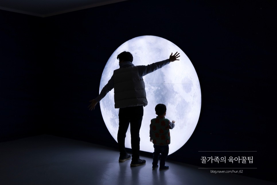 경북 축제 경북 아이와가볼만한곳 청도 50