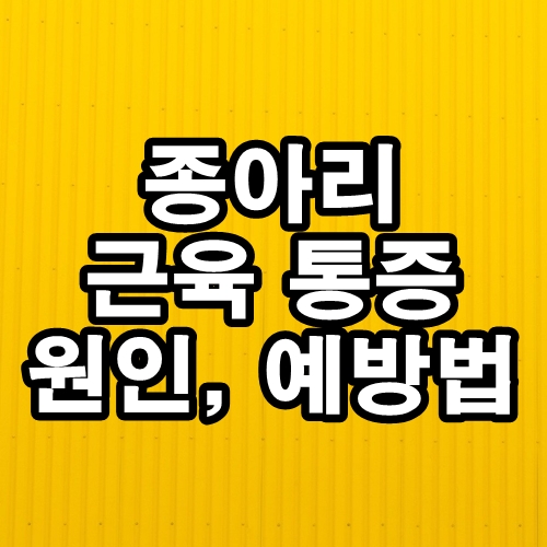  종아리 근육 통증 원인과 예방법