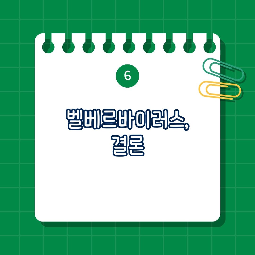 칼리시바이러스과(Caliciviridae)의 하나라는 벨베르바이러스(Beaver Virus), 전파 경로, 야생동물 매개 바이러스 개요, 비버와 관련된 질병 사례, 비슷한 바이러스: 칼리시바이러스과와 소형 RNA 바이러스, 동물 서식지와 인수공통감염병의 위험성, 예방 및 관리 방법, 결론