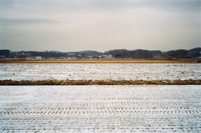 겨울에 눈 덮인 김포시 후평리의 철새보호구역. 