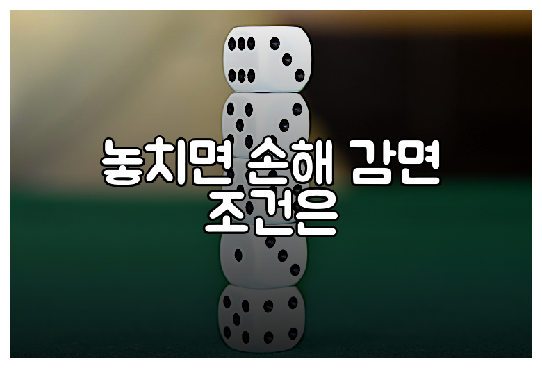 놓치면 손해 감면 조건은