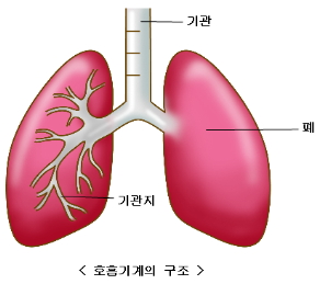 나을 이미지
