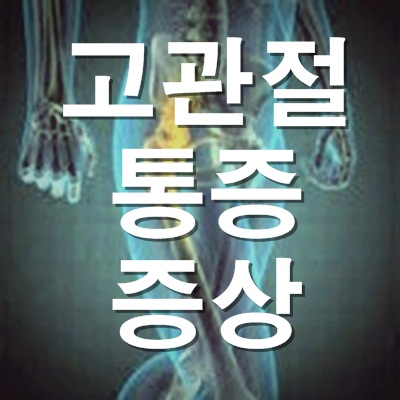 고관절 통증 증상과 예방 고관절 통증 증상과 예방